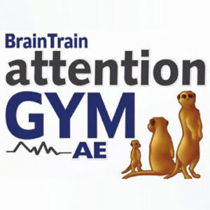 Attention Gym
